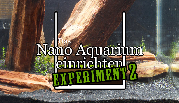 Nano Aquarium einrichten Experiment 2.